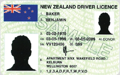 nz-driver-licence